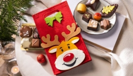 Filztäschchen Rudolph von Lebkuchen Schmidt