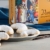 Vanillekipferl von Lebkuchen Schmidt