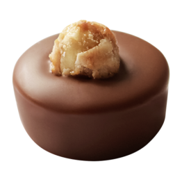 Nougat-Praline mit Haselnuss